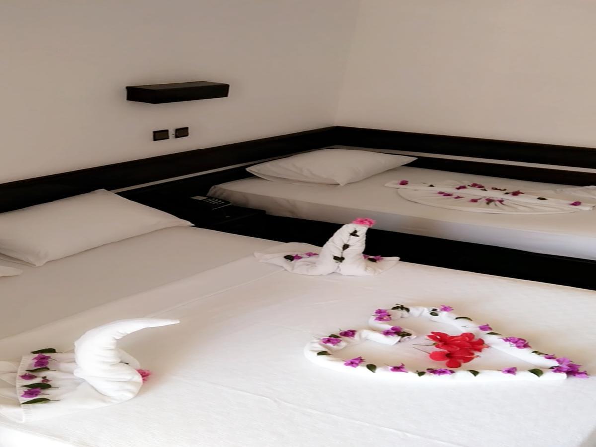 Asem Hotel 阿拉尼亚 外观 照片